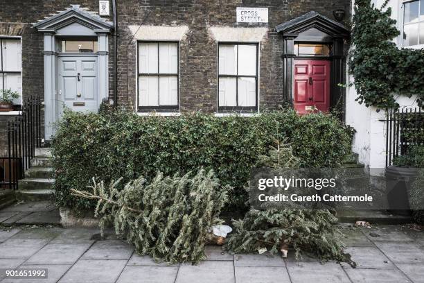 Discarded Christmas trees lie outside houses in Angel on January 5, 2018 in London, England. In the lead up to Christmas a pine tree is the centre...