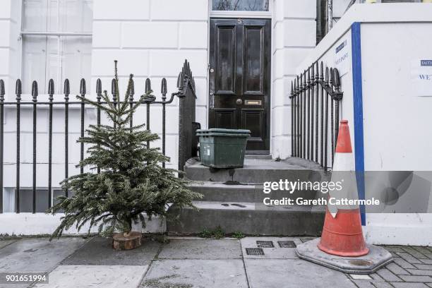 Discarded Christmas tree stands in a street in Angel on January 5, 2018 in London, England. In the lead up to Christmas a pine tree is the centre...