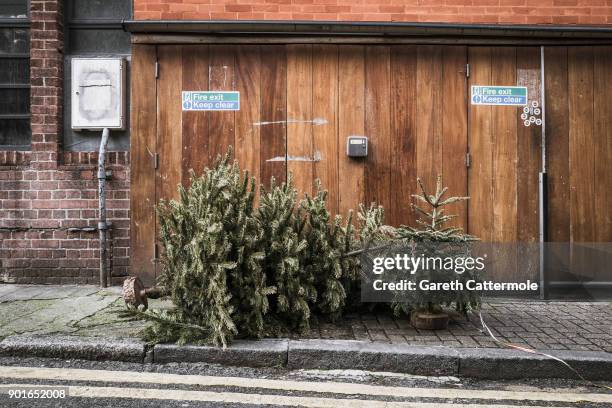 Discarded Christmas trees lie in a street in Angel on January 5, 2018 in London, England. In the lead up to Christmas a pine tree is the centre point...