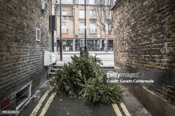 Discarded Christmas trees lie in a side street in Angel on January 5, 2018 in London, England. In the lead up to Christmas a pine tree is the centre...