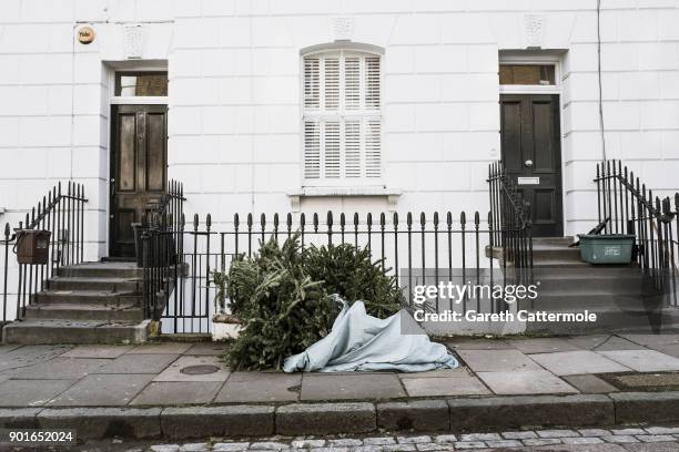 Discarded Christmas trees lie outside houses in Angel on January 5, 2018 in London, England. In the lead up to Christmas a pine tree is the centre...