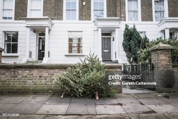 Discarded Christmas trees lie outside houses in Angel on January 5, 2018 in London, England. In the lead up to Christmas a pine tree is the centre...