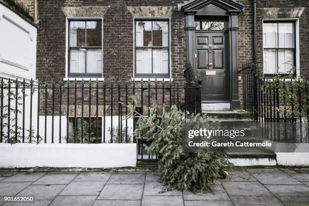 Discarded Christmas tree lies in a street in Angel on January 5, 2018 in London, England. In the lead up to Christmas a pine tree is the centre point...