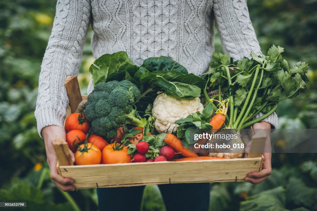 Joven agricultor con caja llena de verduras