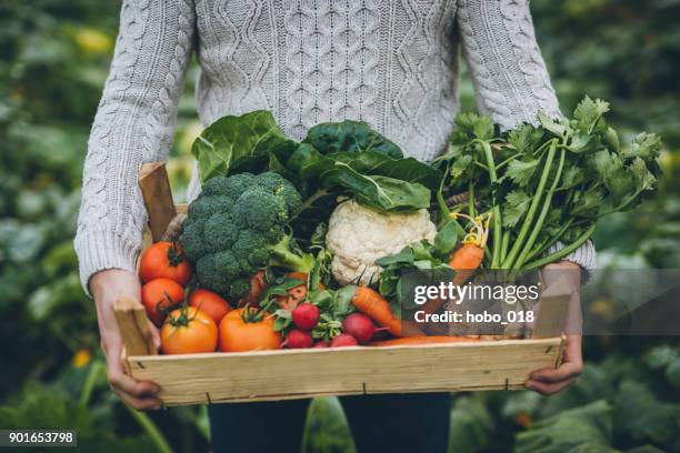 joven agricultor con caja llena de verduras - jardín de la comunidad fotografías e imágenes de stock