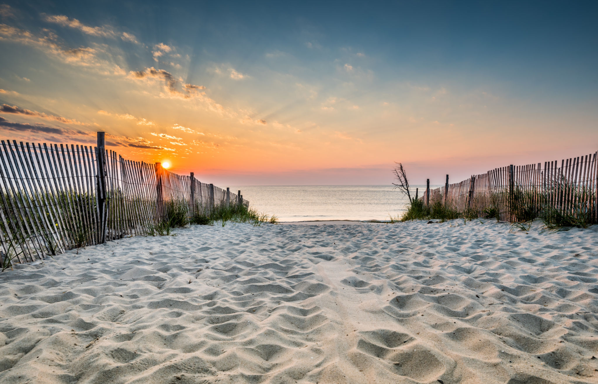 delaware nature