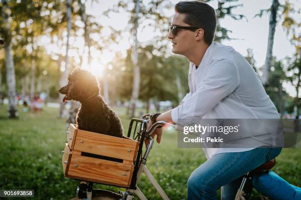 gut aussehender mann mit niedlichen hund - velo humour stock-fotos und bilder