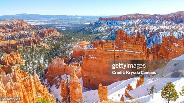 bryce canyon national park, utah - usa - utah stockfoto's en -beelden