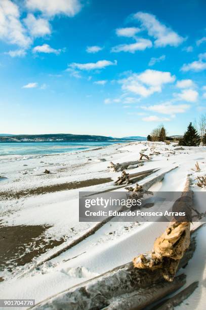 white landscapes - forillon national park beach - forillon national park stock pictures, royalty-free photos & images