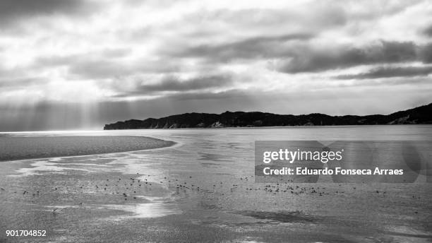 white landscapes - seascape - forillon national park stock pictures, royalty-free photos & images