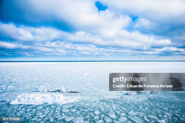 white landscapes - frozen sea - forillon national park fotografías e imágenes de stock