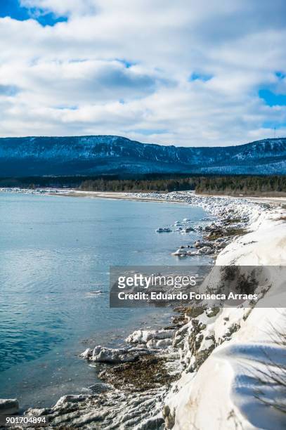 white landscapes - frozen beach - forillon national park stock pictures, royalty-free photos & images