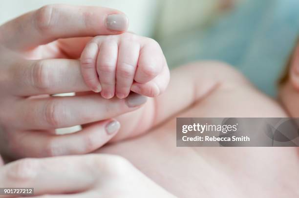 baby hands - feet sucking stock pictures, royalty-free photos & images