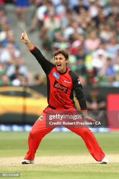 Brad Hogg of the Melbourne Renegades appeals unsuccessfully during the Big Bash League match between the Melbourne Stars and the Melbourne Renegades...