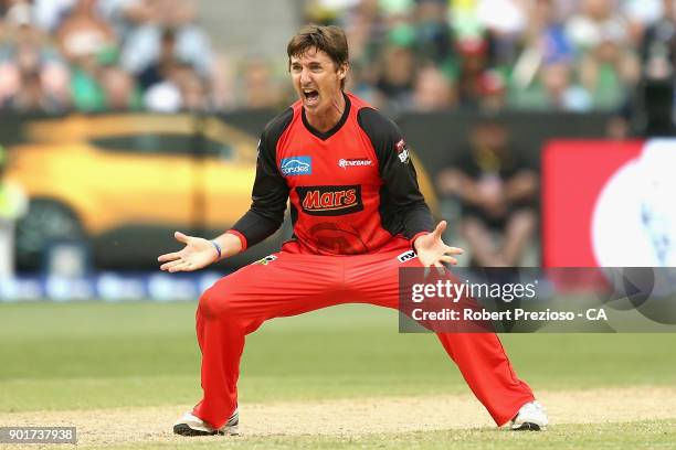 Brad Hogg of the Melbourne Renegades appeals unsuccessfully during the Big Bash League match between the Melbourne Stars and the Melbourne Renegades...