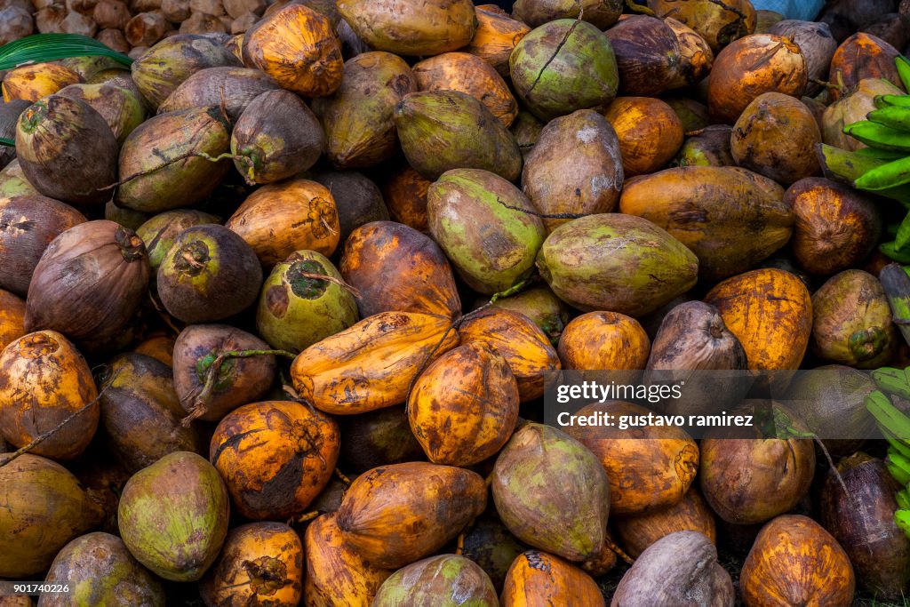 Fresh coconuts