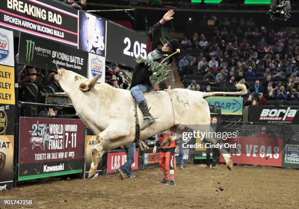 Mauney rides during the 2018 Professional Bull Riders Monster Energy Buck Off at the Garden at Madison Square Garden on January 5, 2018 in New York...