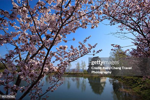 spring in japan - hokkaido stock pictures, royalty-free photos & images