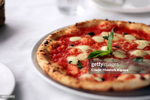 pizza margherita - cheese pizza stock-fotos und bilder