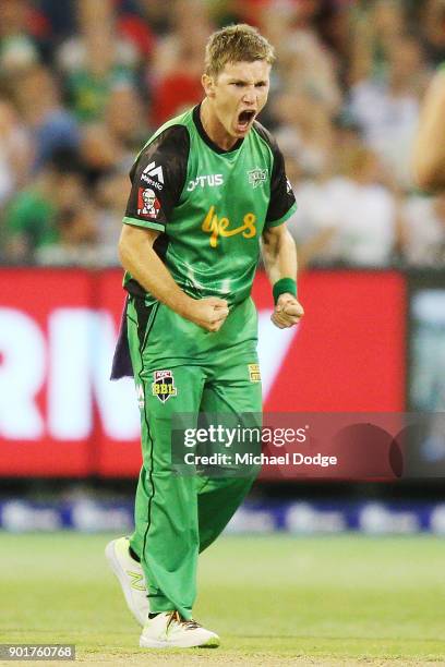 Adam Zampa of the Stars celebrates the wicket of Aaron Finch of the Renegades during the Big Bash League match between the Melbourne Stars and the...