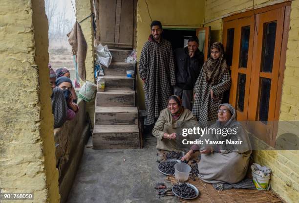 Daulat 55, along with her relatives wears protective rubber all over her fingers as she moves a special knife tactfully over the chestnuts, saying...