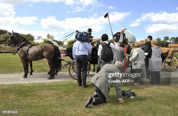 Man steps off a carriage after three couples were concerned by an accident with a horse and carriage, at the special event to celebrate the wedding...