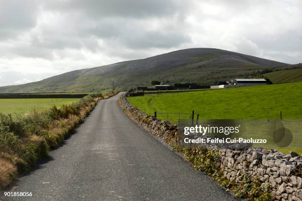 rural scene at the burren, county clare, ireland. - irish farm stock pictures, royalty-free photos & images