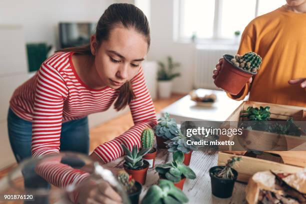 girl making terrarium - terrarium stock pictures, royalty-free photos & images