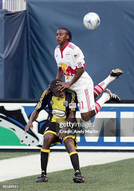 155 Danleigh Borman Stock Photos, HighRes Pictures, and Images Getty