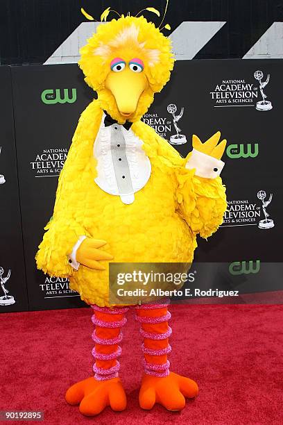 Big Bird of Sesame Street arrives at the 36th Annual Daytime Entertainment Emmy Awards at The Orpheum Theatre on August 30, 2009 in Los Angeles,...