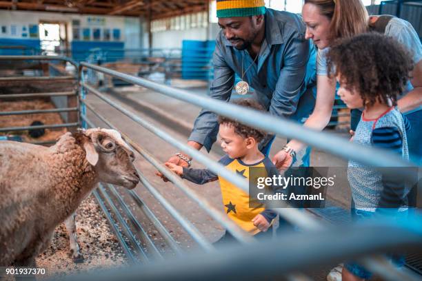 family trip - rural australia stock pictures, royalty-free photos & images