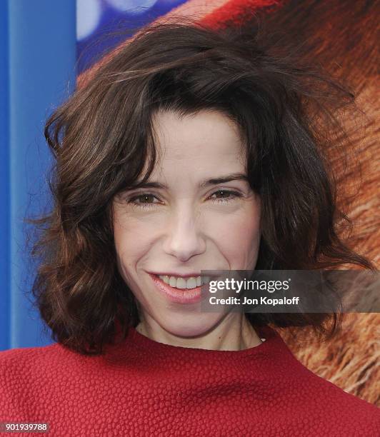 Sally Hawkins attends the Los Angeles Premiere "Paddington 2" at Regency Village Theatre on January 6, 2018 in Westwood, California.