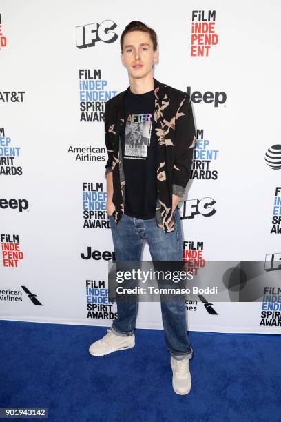 Harris Dickinson attends the Film Independent Spirit Awards Nominee Brunch at BOA Steakhouse on January 6, 2018 in West Hollywood, California.