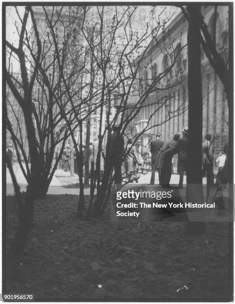 Spring, New York Public Library, view from budding trees, New York, New York, 1929.