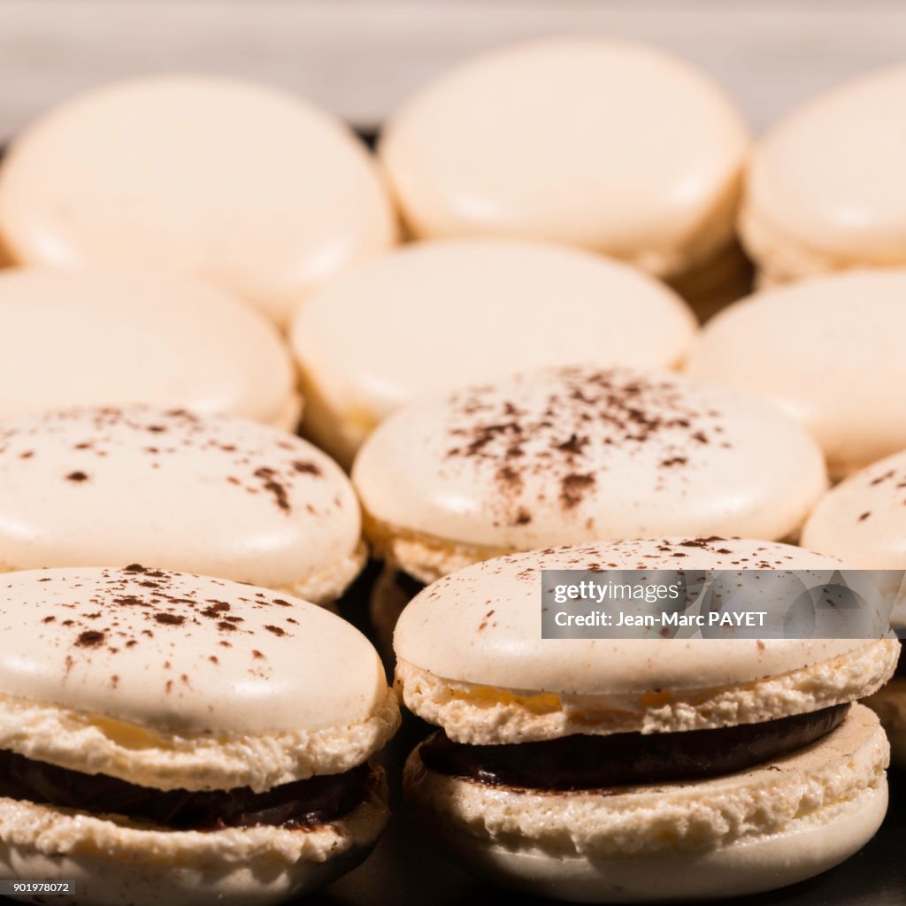 Close-up Macaroons lined up in a dish