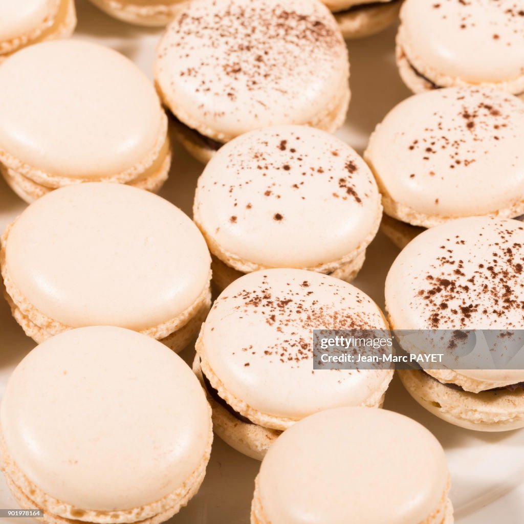 French Macaroons lined up in a dish