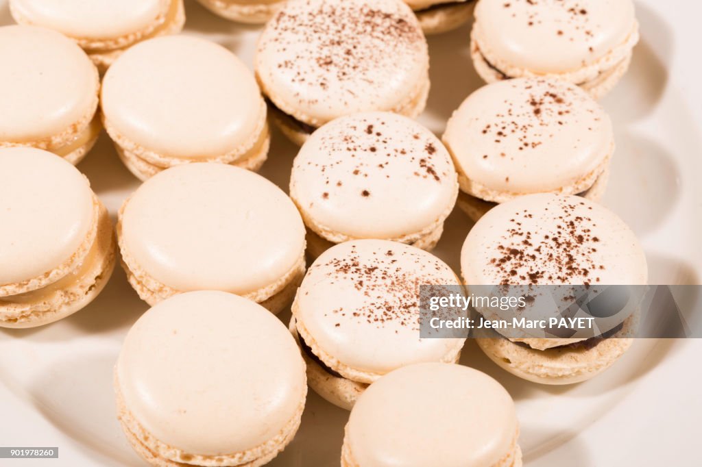 French Macaroons lined up in a dish