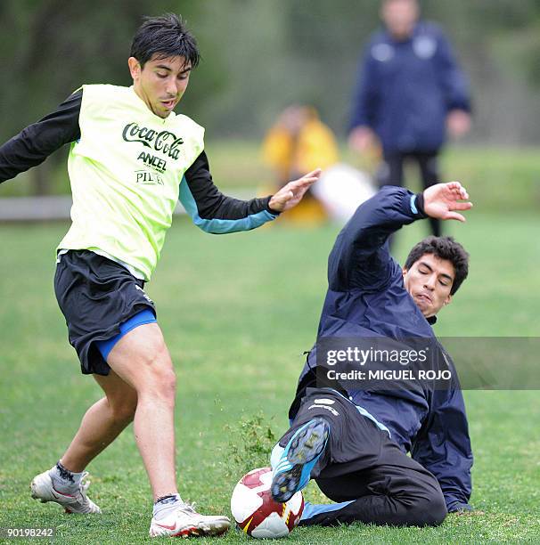 Uruguayan footballers Jorge Fucile and Luis Suarez vie for the ball during a training session on August 31, 2009 in Montevideo. Uruguay will face...