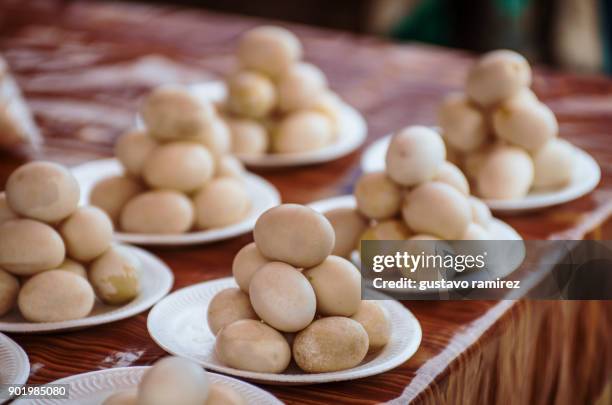 boiled eggs of turtles - nido de tortuga fotografías e imágenes de stock