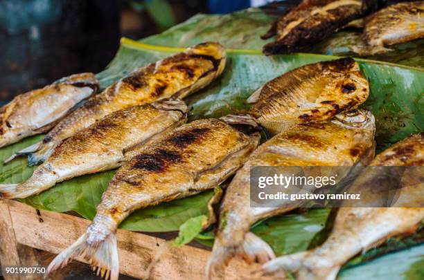 Amazon Fish Meat 1,609 Amazon Fish Stock Photos, High-Res Pictures, and Images - Getty ...