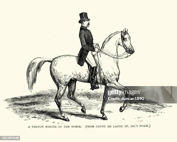 french master of the horse, 19th century - white horse stock illustrations
