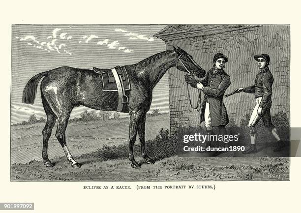 2,321 Eclipse Horse Stock Photos, HighRes Pictures, and Images Getty