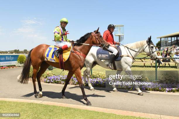 Imperial Edition ridden by Dean Yendall returns after the Roma Britnell MP Maiden Plate at Warrnambool Racecourse on January 07, 2018 in Warrnambool,...