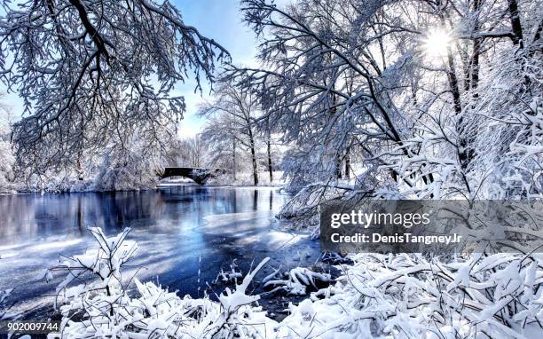 invierno en franklin park de boston - new england usa fotografías e imágenes de stock