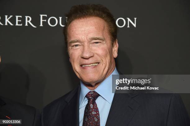 Arnold Schwarzenegger attends the 7th Annual Sean Penn & Friends HAITI RISING Gala benefiting J/P Haitian Relief Organization on January 6, 2018 in...