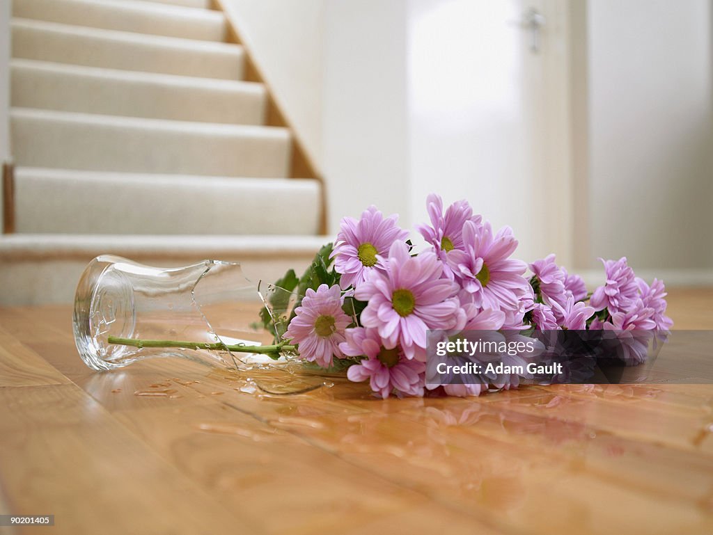 Broken vase of flowers on floor
