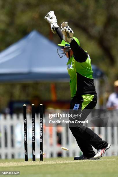 Rachel Priest of the Thunder successfully appeals the stumping of Natalie Sciver of the Scorchers during the Women's Big Bash League match between...