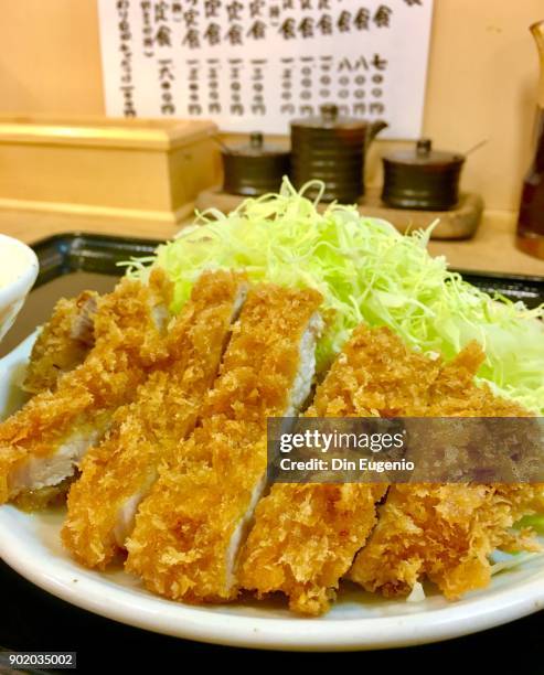 tonkatsu close up - yōshoku stock pictures, royalty-free photos & images