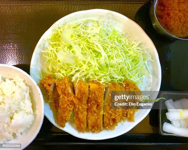 tonkatsu close up - yōshoku stockfoto's en -beelden