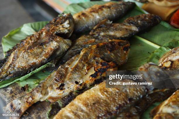 Amazon Fish Meat Cafe Amazon Photos and Premium High Res Pictures - Getty Images